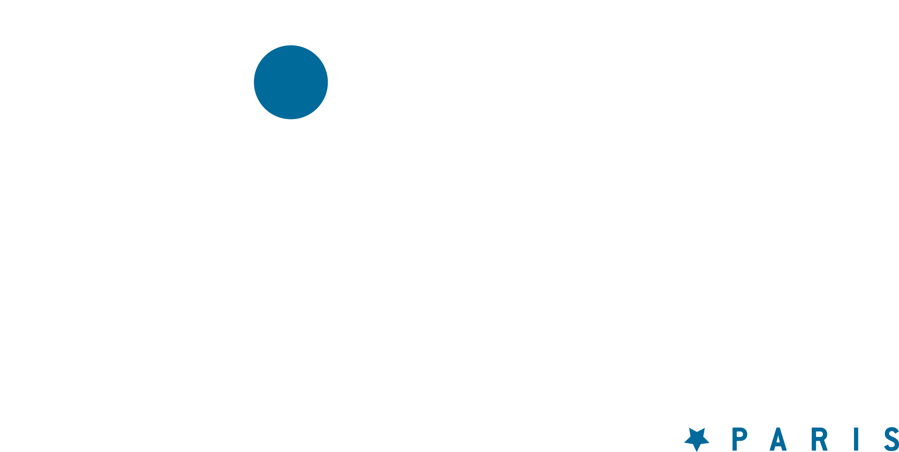 Institut de la vision