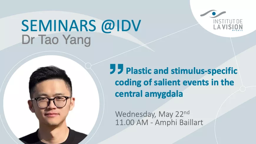 Séminaire du Dr Tao Yang