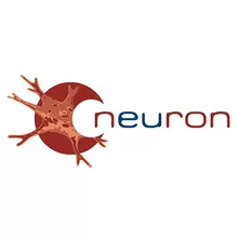 Neuron