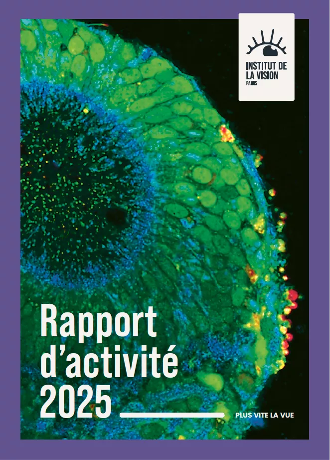 Couverture RA 2025 Institut de la Vision